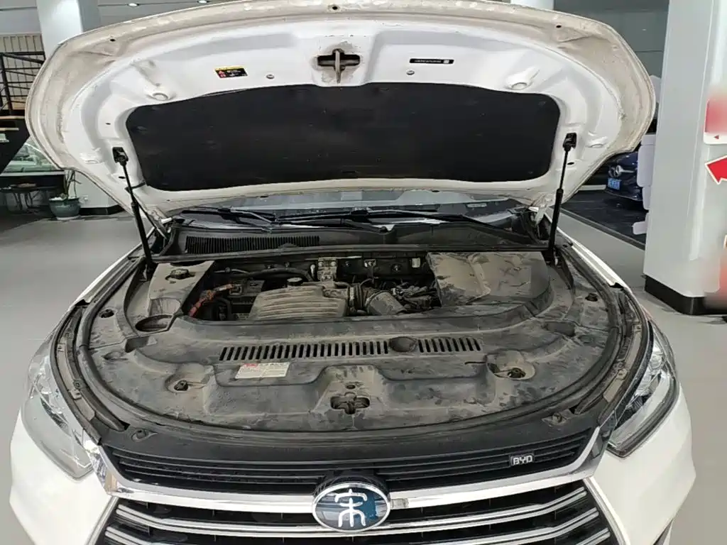 BYD Song New Energy 2019 — фото 20