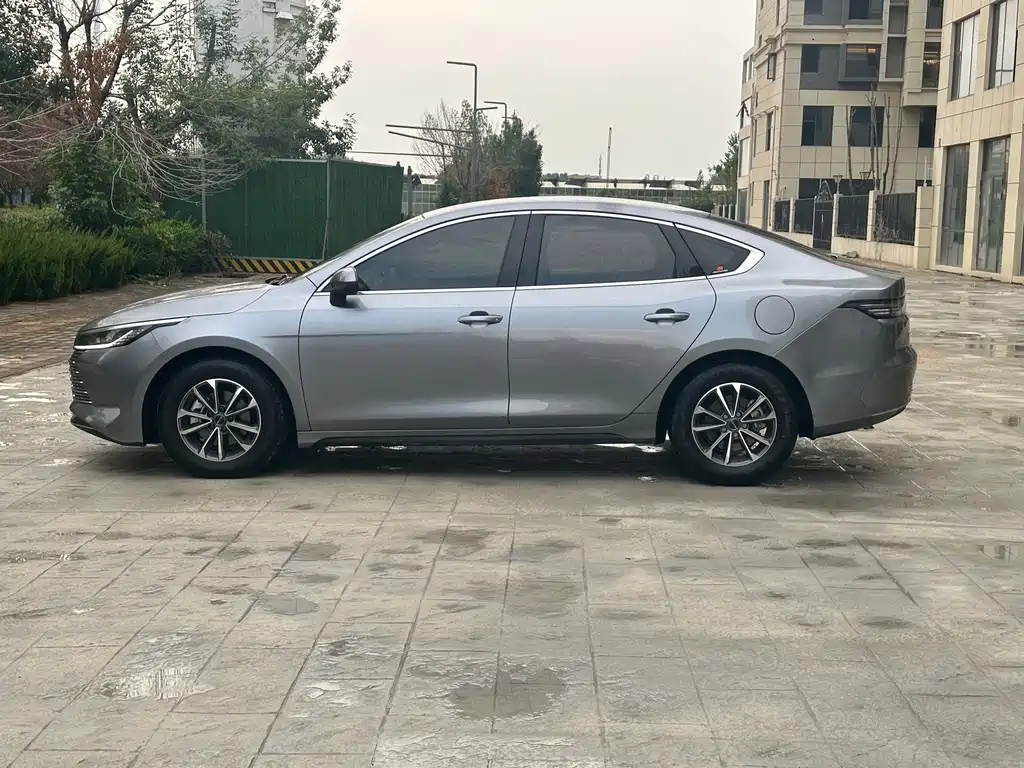 BYD Destroyer 05 2024 — фото 10