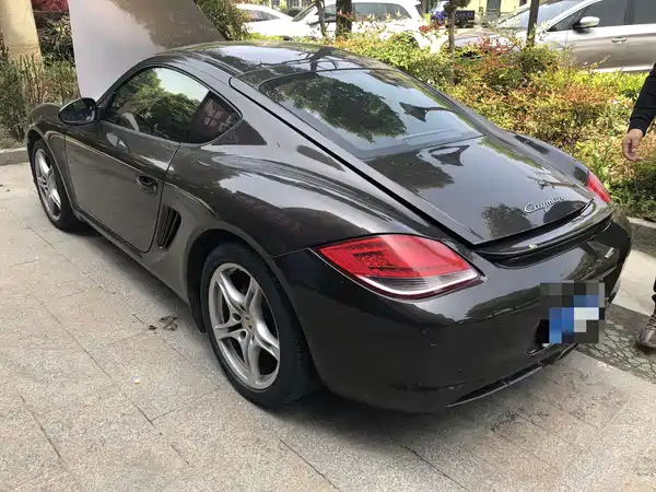 Porsche Cayman 2010