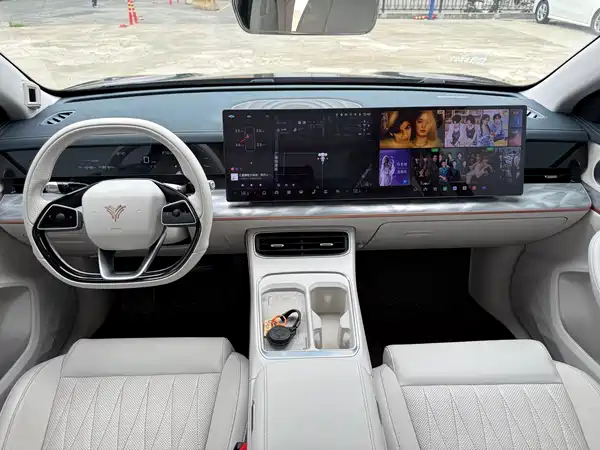 Neta L 2024