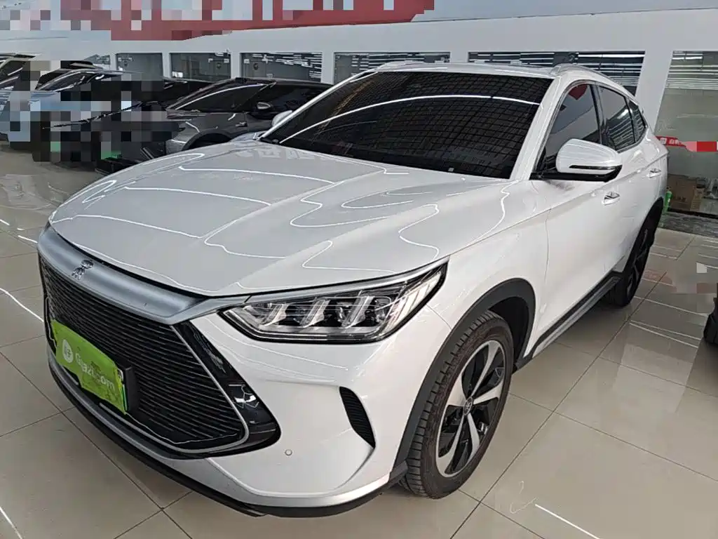 BYD PLUS New Energy 2023 — фото 1
