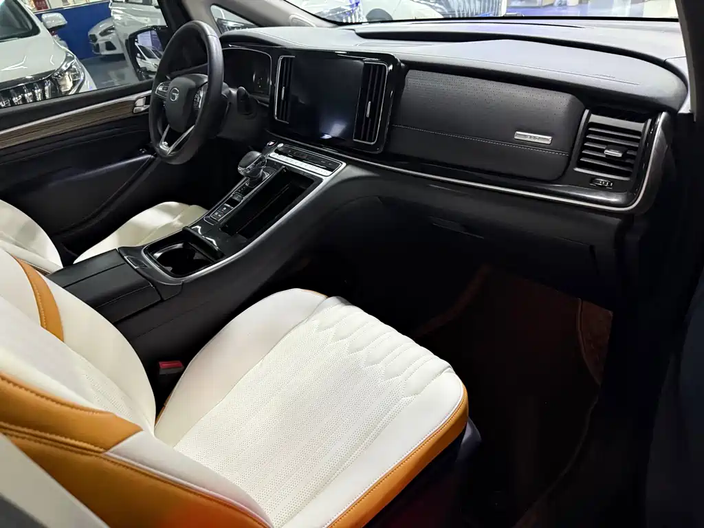 GAC Motor Trumpchi M8 2021 — фото 15