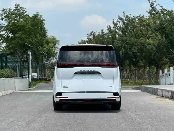 Denza D9 2022