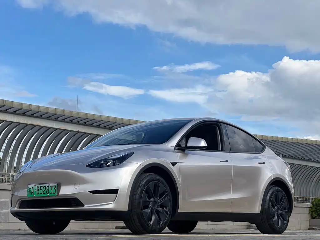 Tesla Model Y 2024 — фото 2