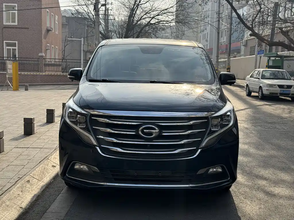GAC Motor Trumpchi M8 2019 — фото 2