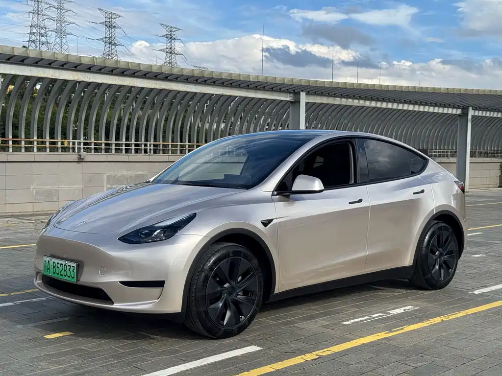 Tesla Model Y 2024 — фото 1