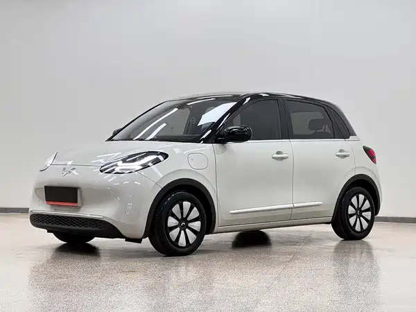 Wuling Bingo 2024