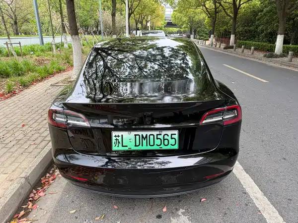 Tesla Model 3 2019