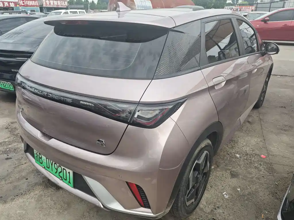 BYD Dolphin 2022