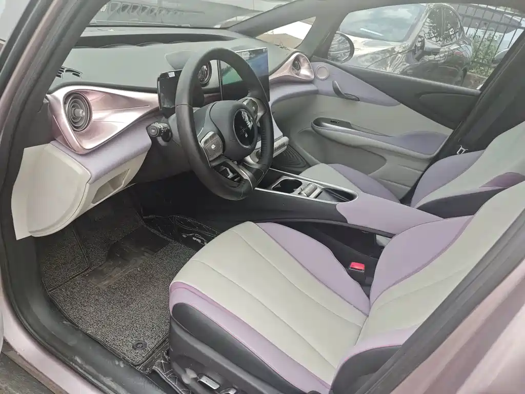 BYD Dolphin 2022