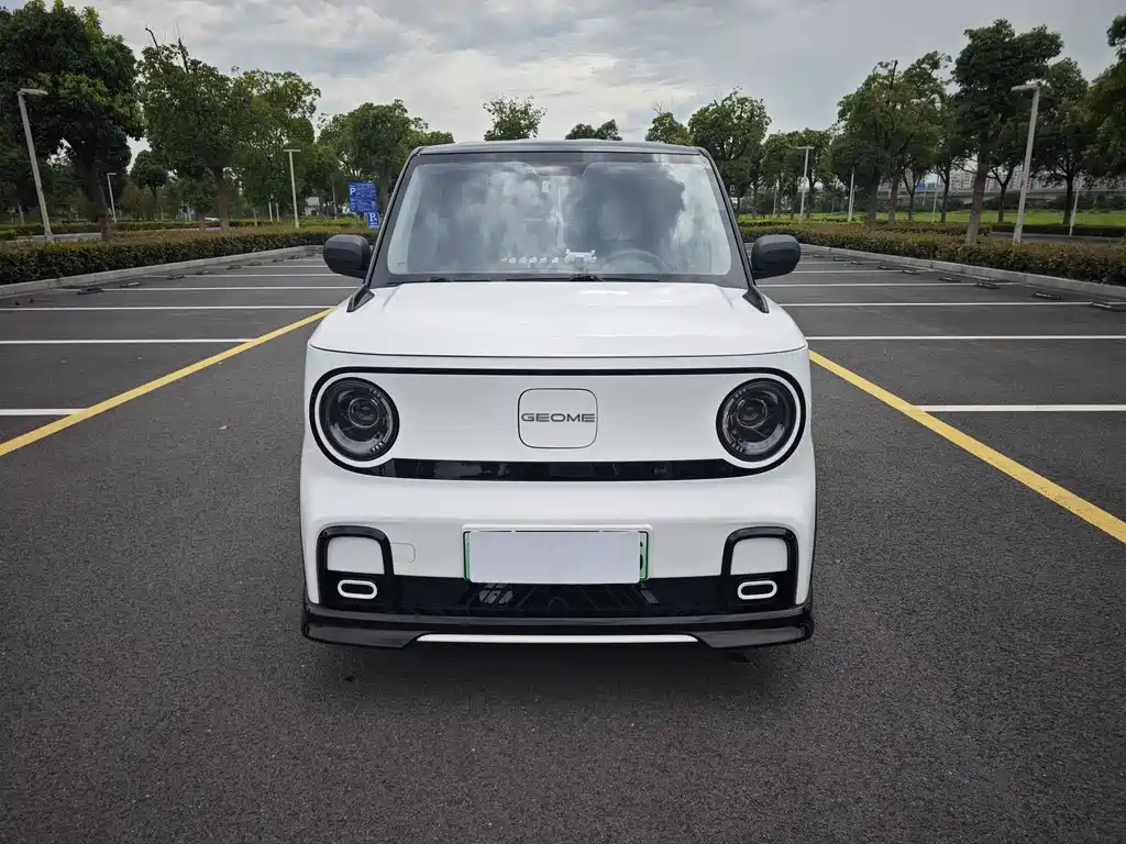 Galaxy Panda 2025