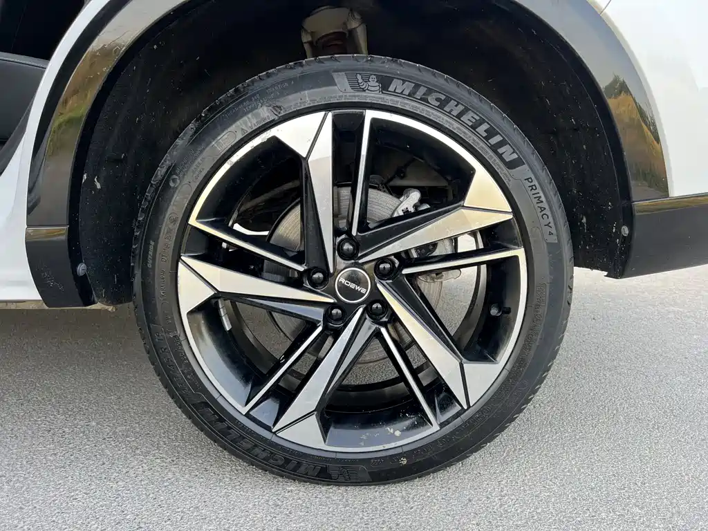 Roewe RX5 MAX 2022 — фото 23