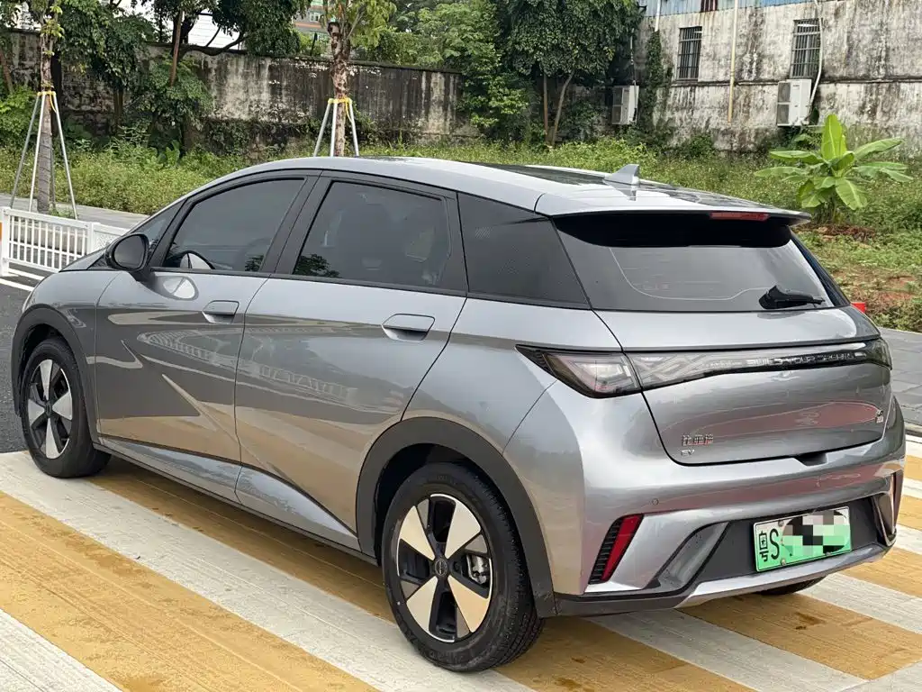 BYD Dolphin 2024
