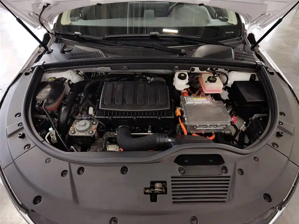 BYD Tang New Energy 2020