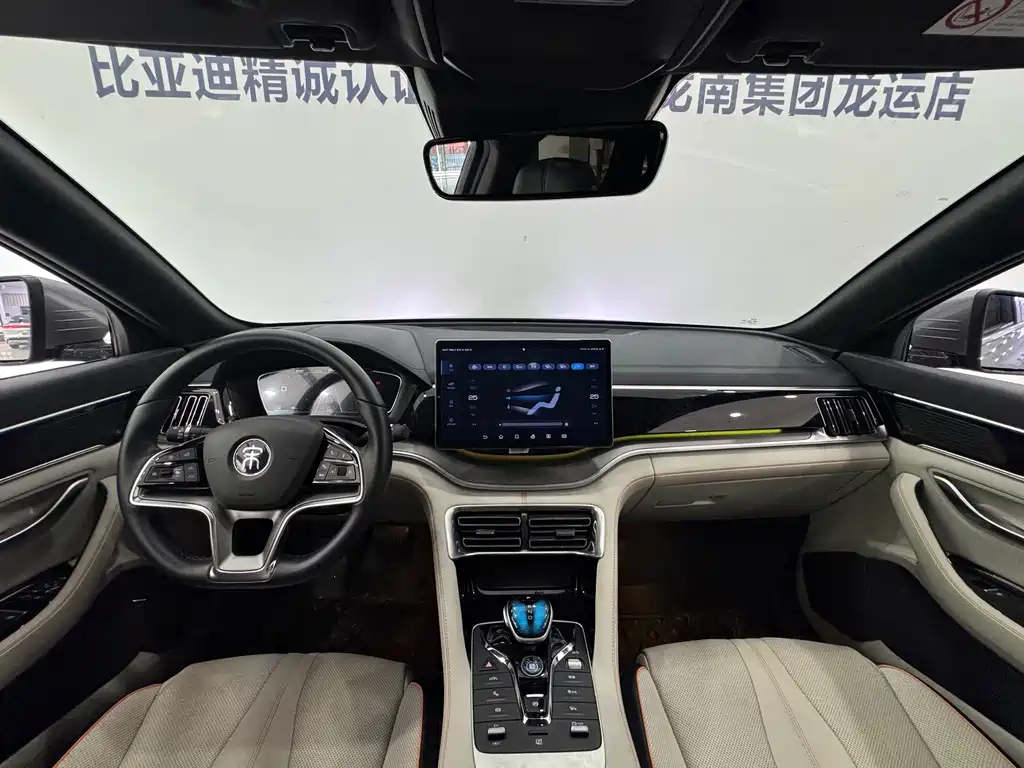 BYD Song PLUS New Energy 2023 — фото 20