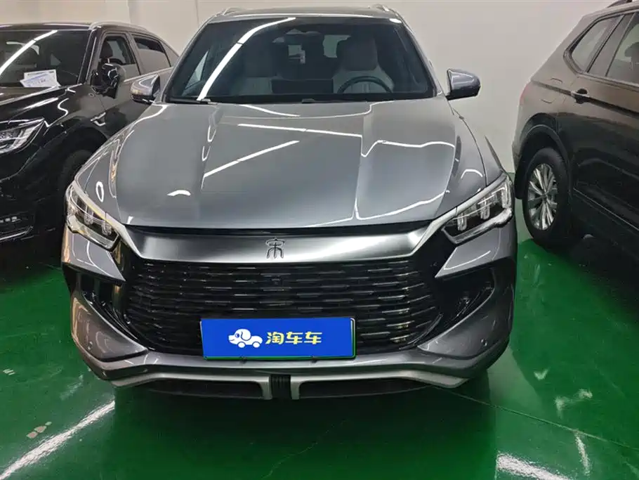 BYD Pro New Energy 2024 — фото 2