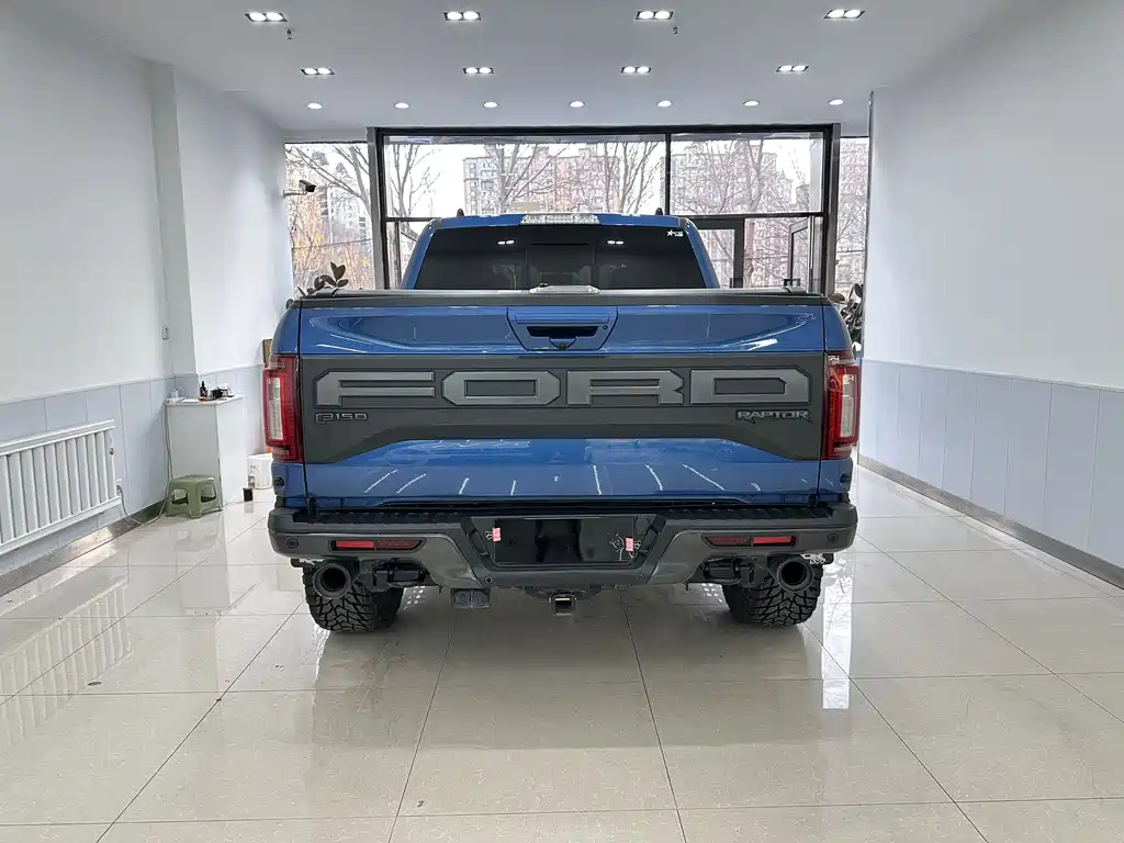 Ford F-150 Raptor 2020 — фото 18