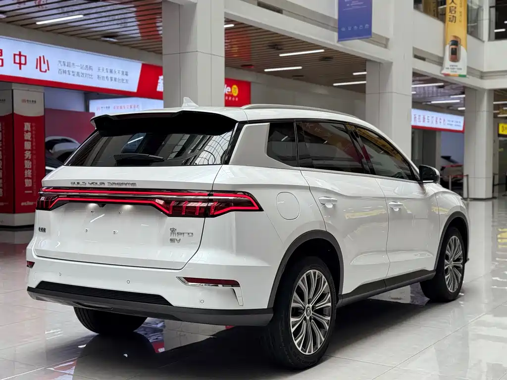 BYD Pro New Energy 2021