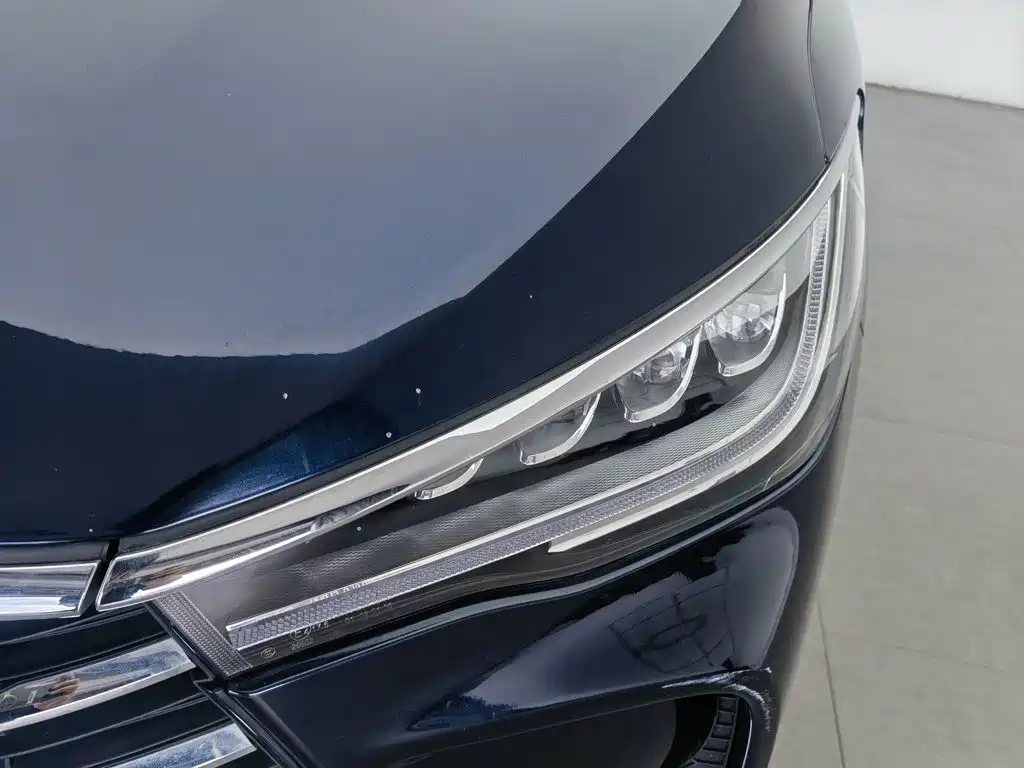 BYD MAX 2019