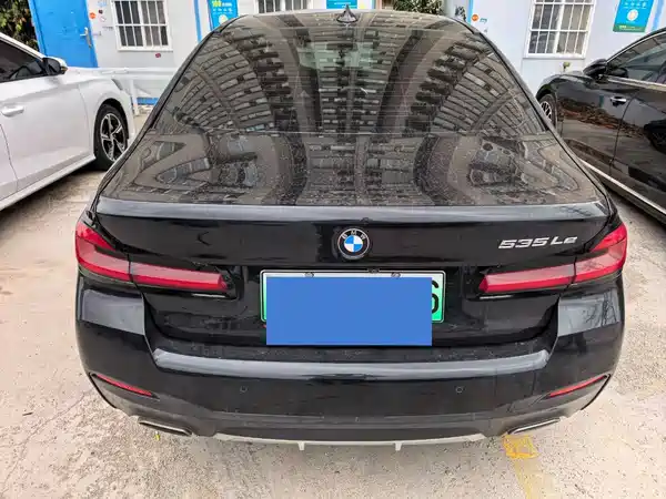 BMW 5 Series New Energy 2020