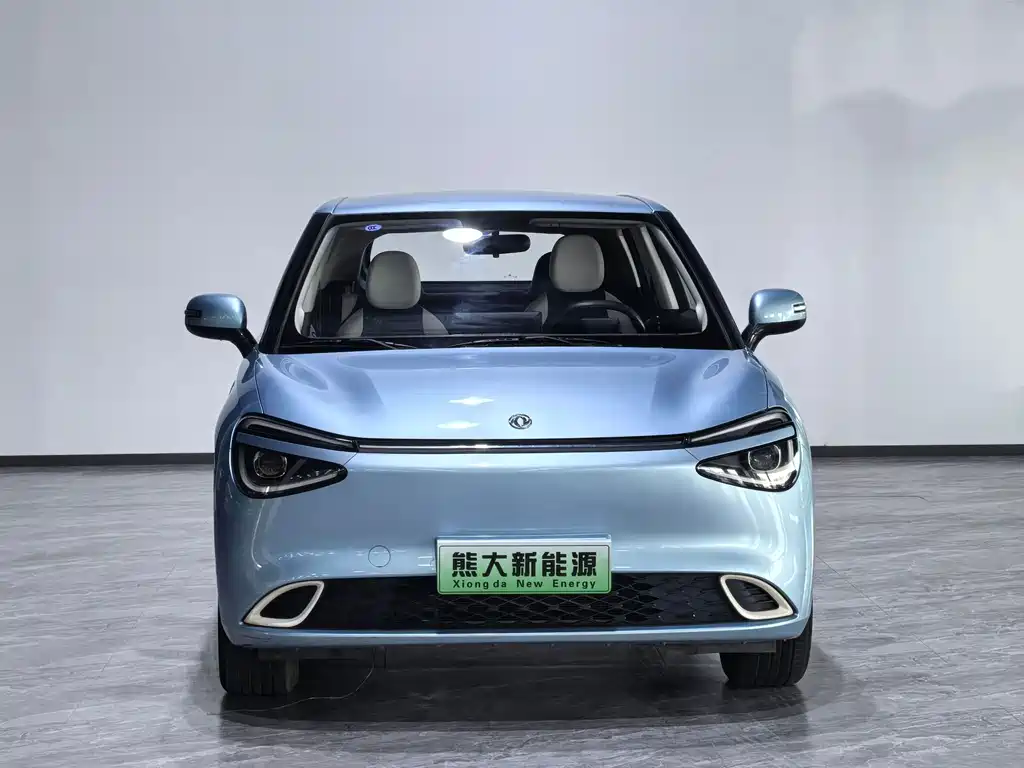 Dongfeng Nano 01 2024
