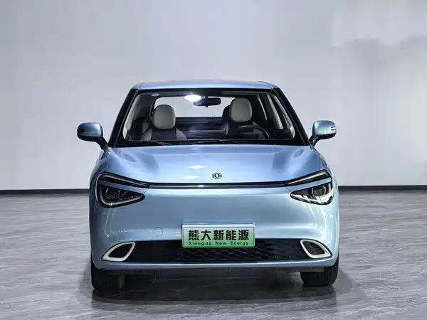 Dongfeng Nano 01 2024