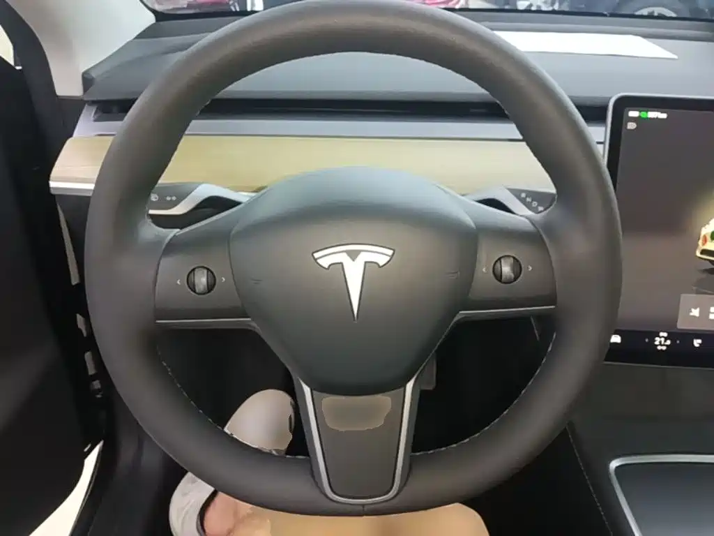 Tesla Model Y 2023 — фото 11