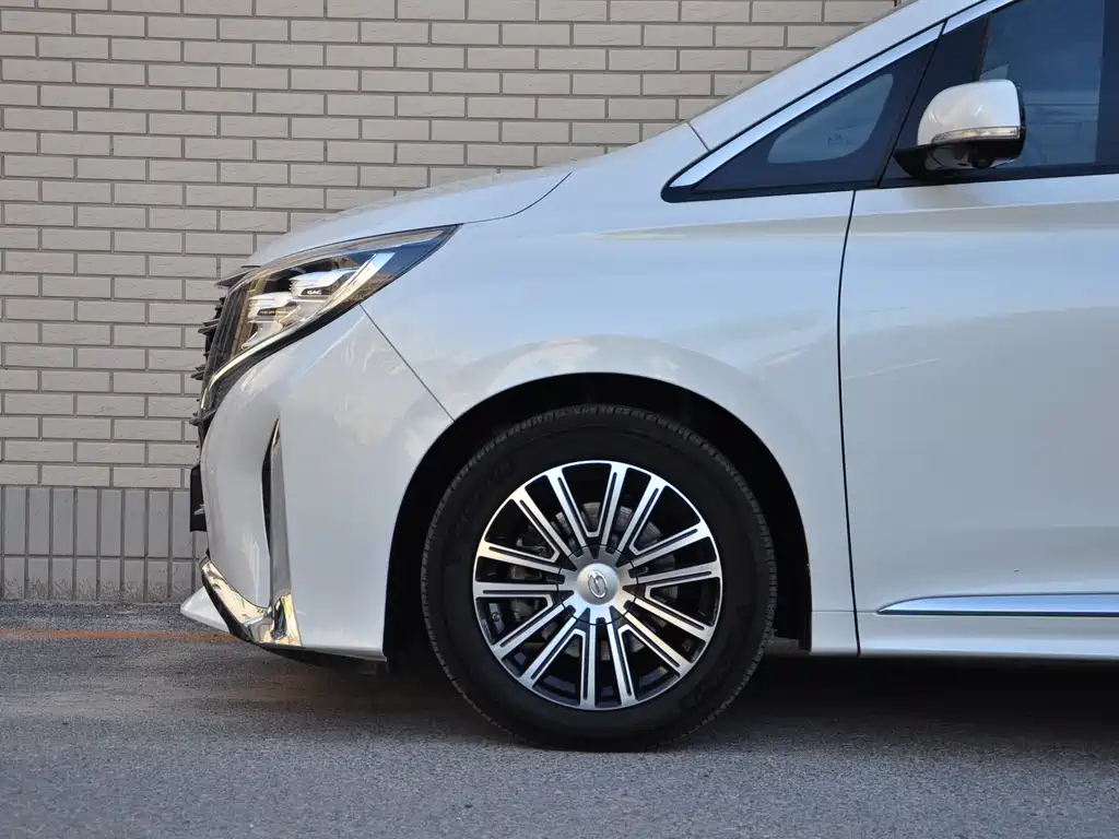 GAC Motor Trumpchi M8 2022 — фото 6