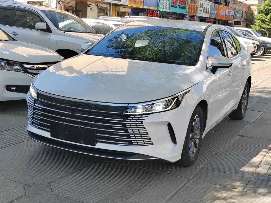 BYD Destroyer 05 2024 — фото 2