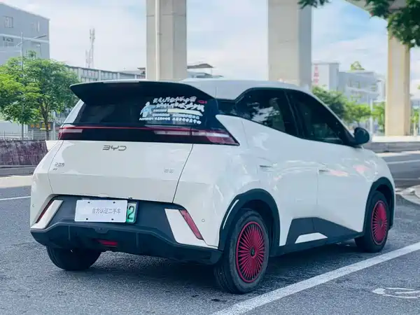 BYD Seagull 2024