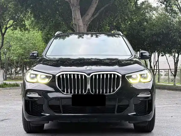 BMW X5 2019