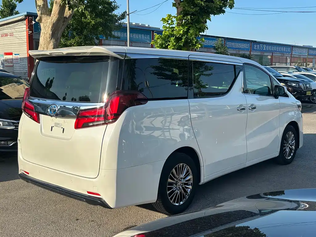 Toyota Alphard 2019 — фото 20