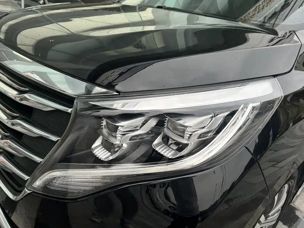 GAC Motor Trumpchi M8 2018 — фото 23