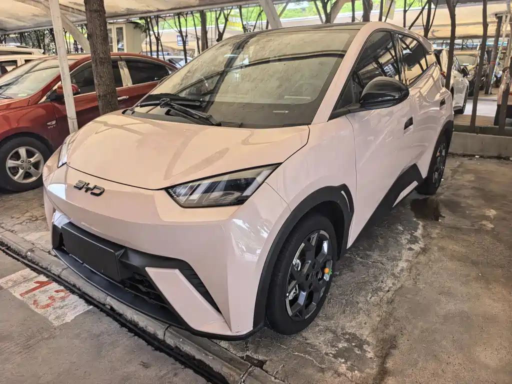 BYD Seagull 2024