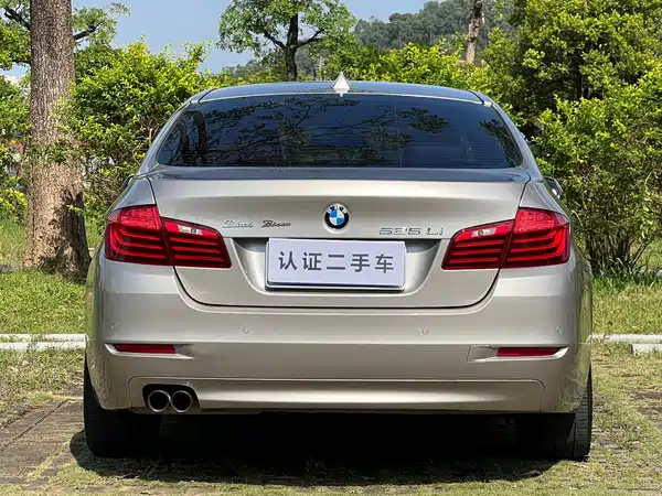 BMW 5 Series 2014