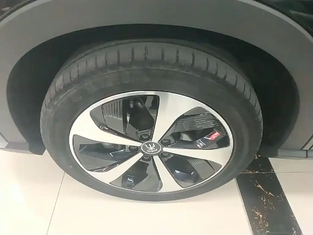 BYD PLUS New Energy 2023 — фото 23