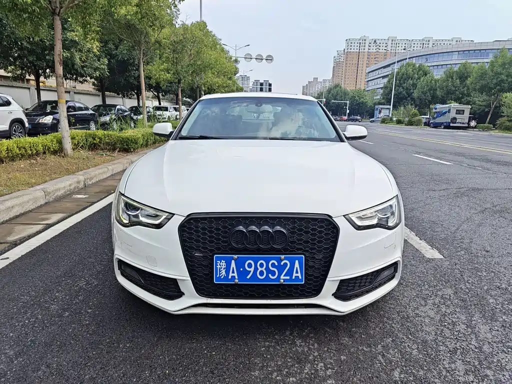 Audi S5 2013