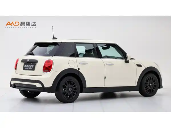 MINI MINI 2022