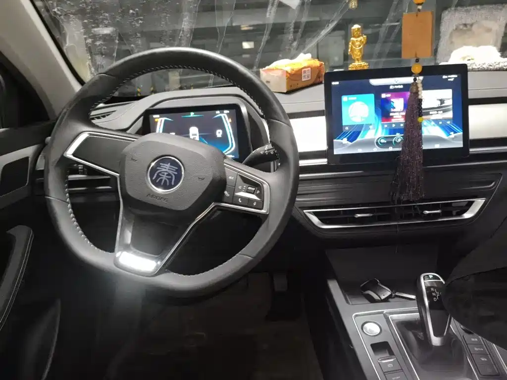 BYD Qin Pro 2020 — фото 13