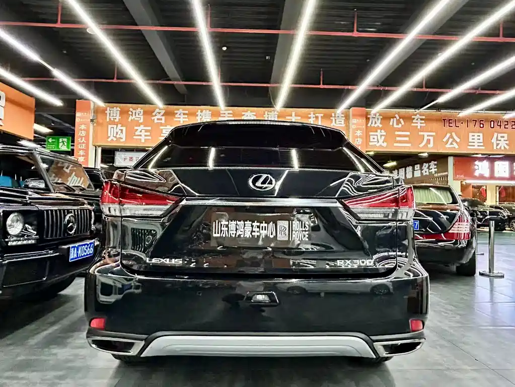 Lexus RX 2020 — фото 16