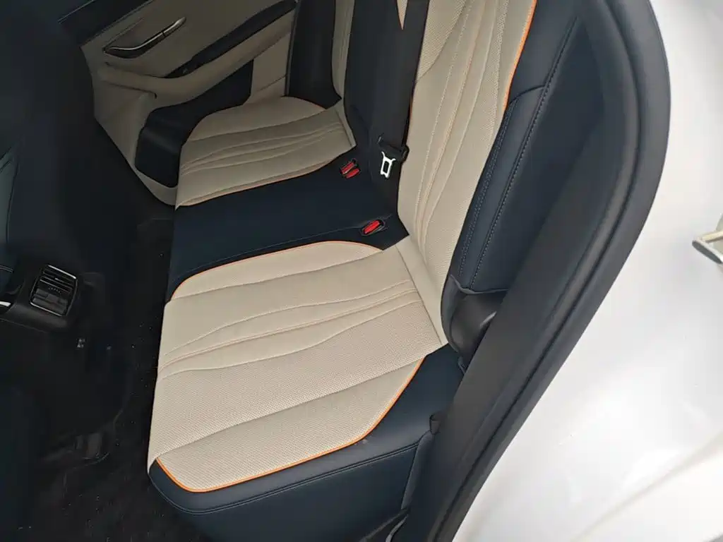 BYD PLUS New Energy 2022 — фото 17