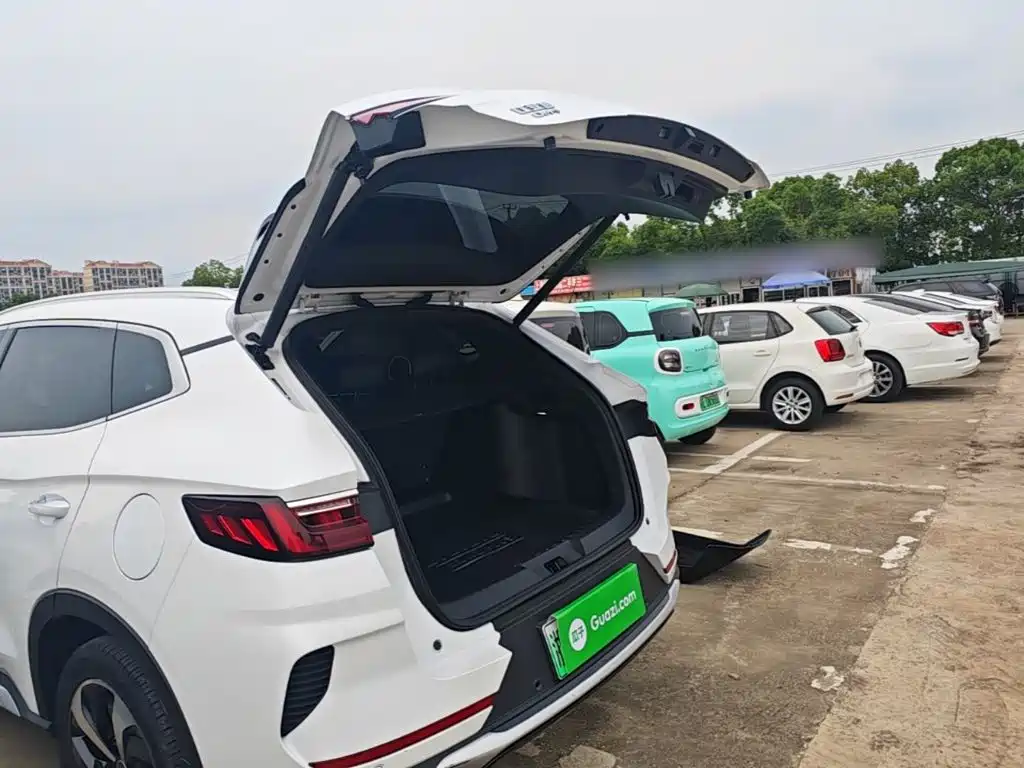 BYD PLUS New Energy 2022 — фото 19