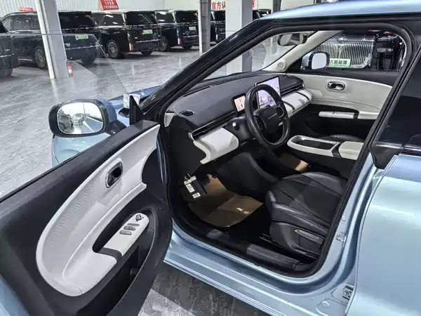 Dongfeng Nano 01 2024