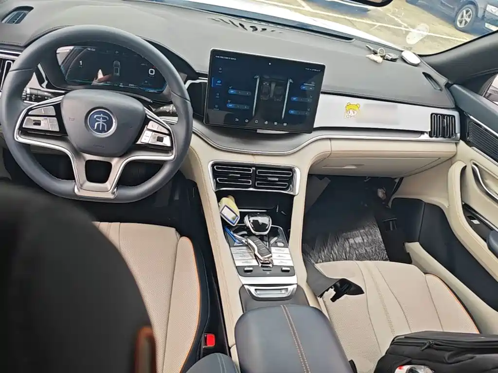 BYD PLUS New Energy 2022 — фото 10
