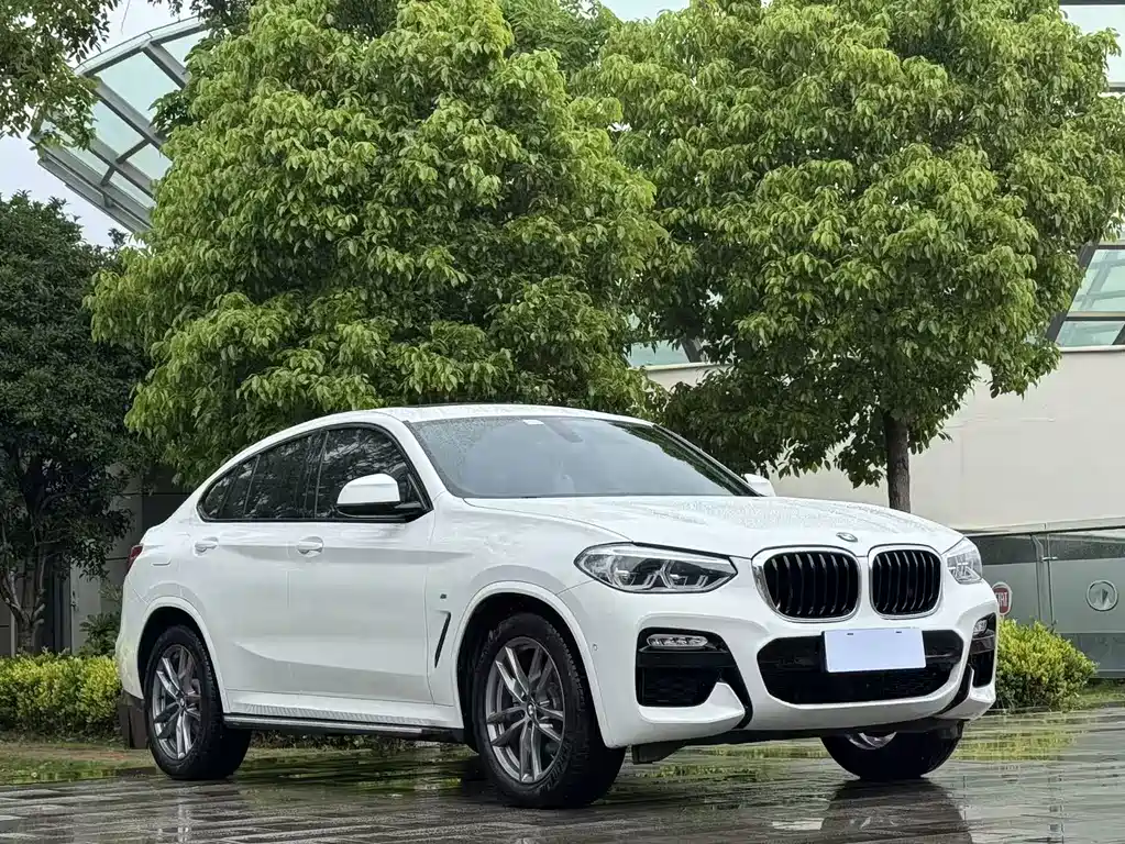 BMW X4 2019 — фото 3