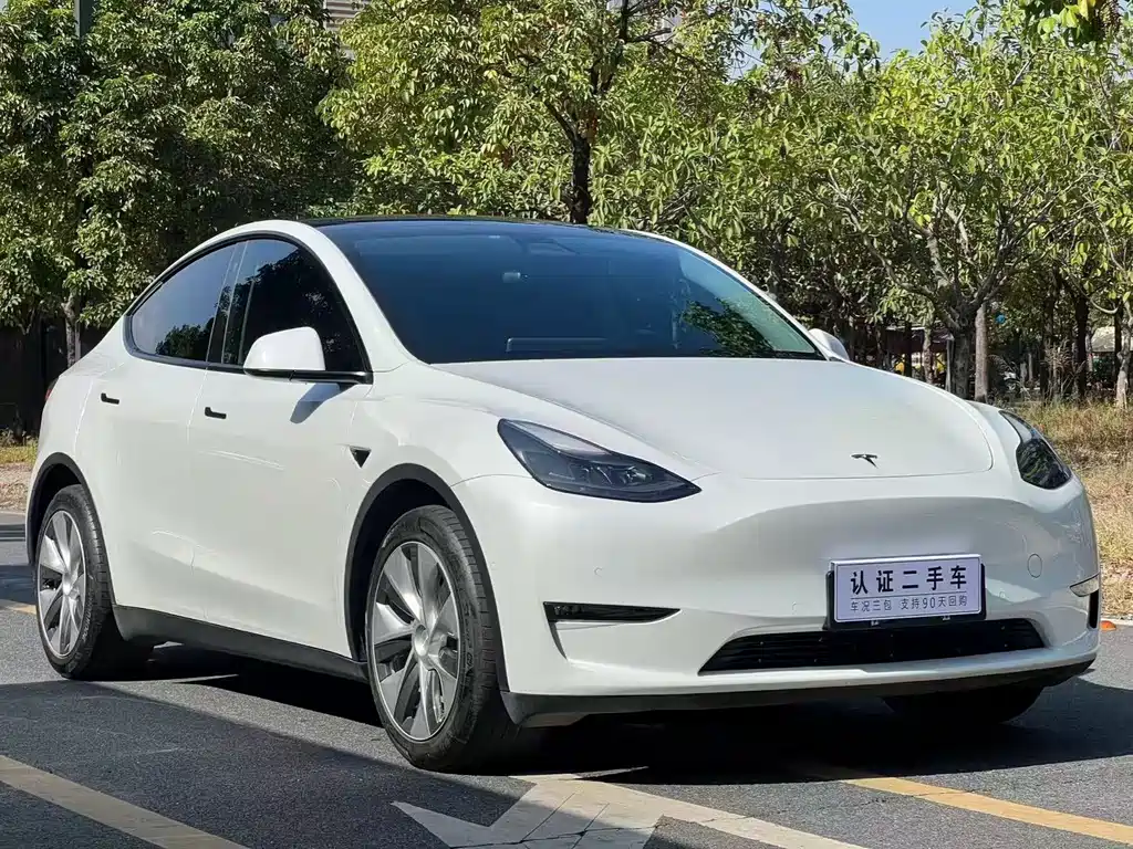Tesla Model Y 2021 — фото 3