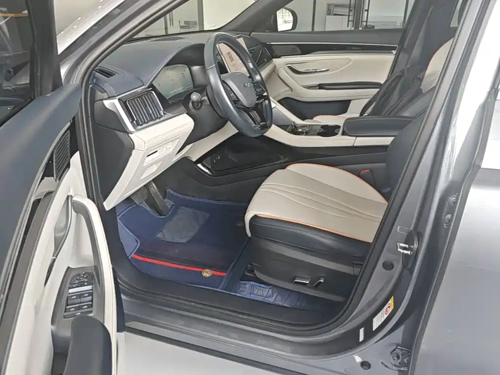 BYD PLUS New Energy 2023 — фото 16