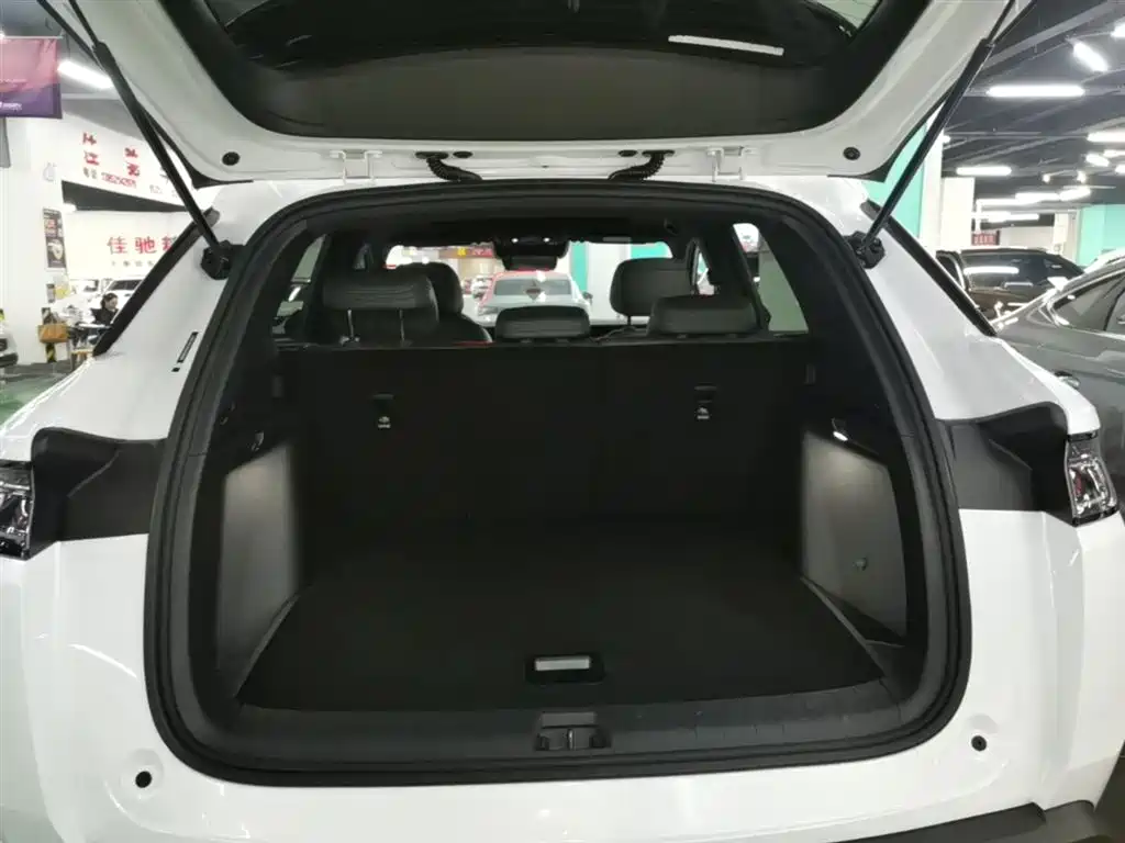 BYD L DM-i 2025 — фото 19