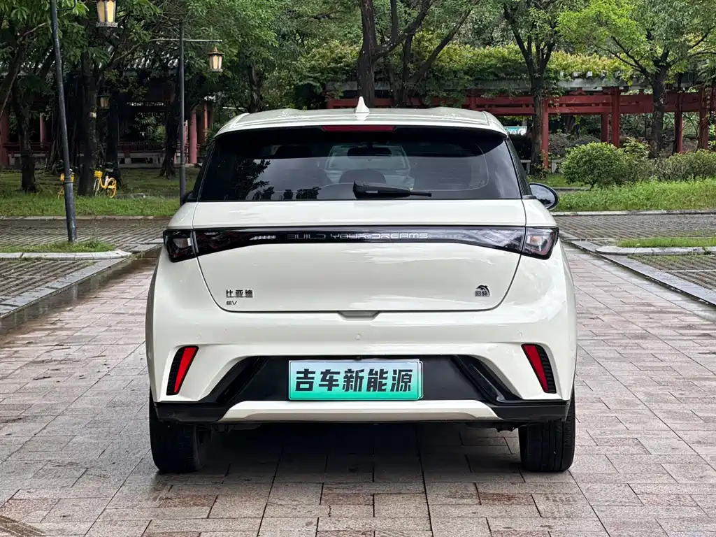 BYD Dolphin 2023 — фото 6