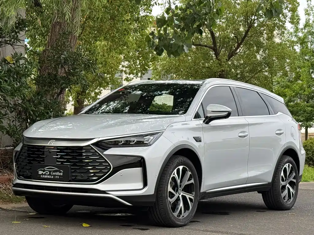 BYD Tang New Energy 2025 — фото 1